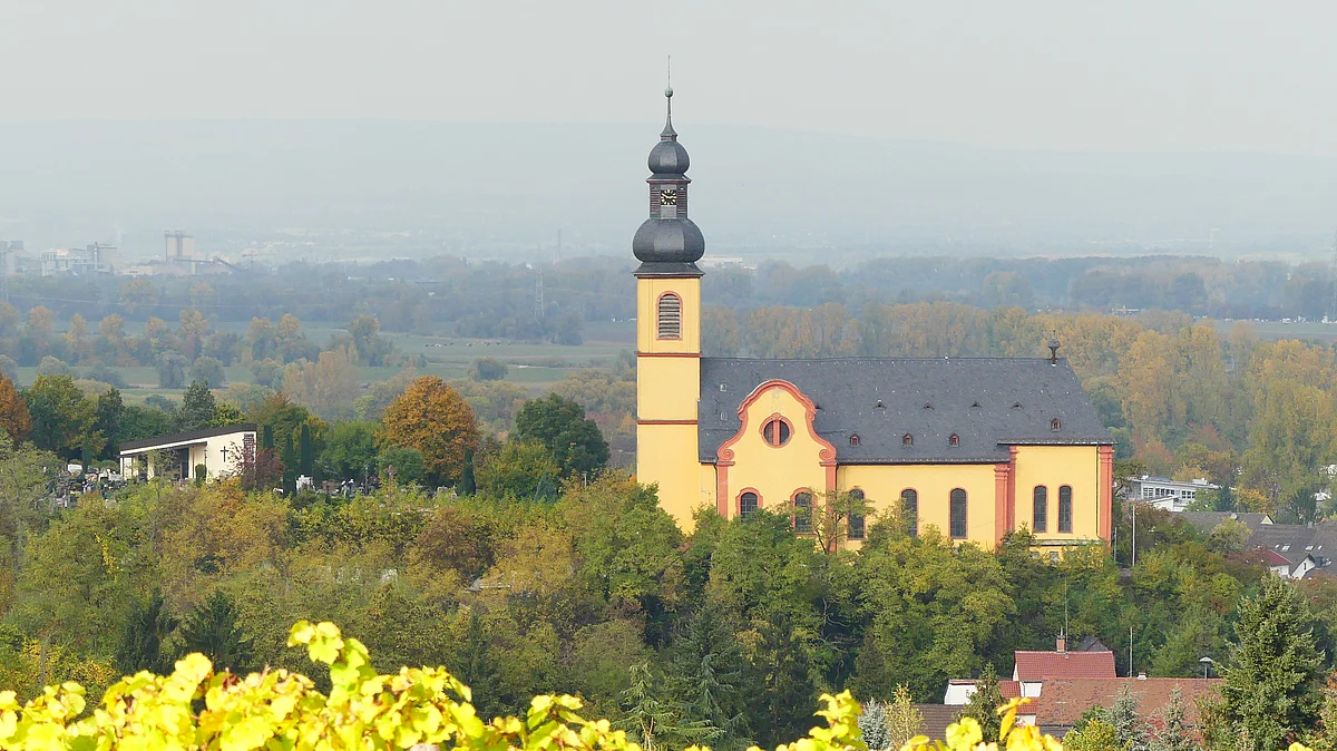 Kirche St. Gereon über den Weinbergen von Nackenheim